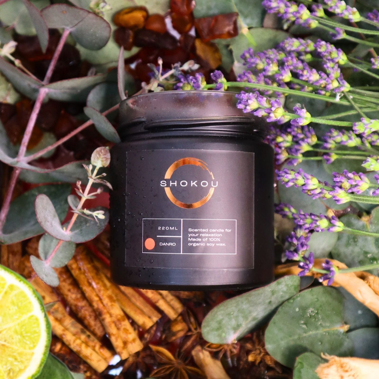 One night in a nordic forest