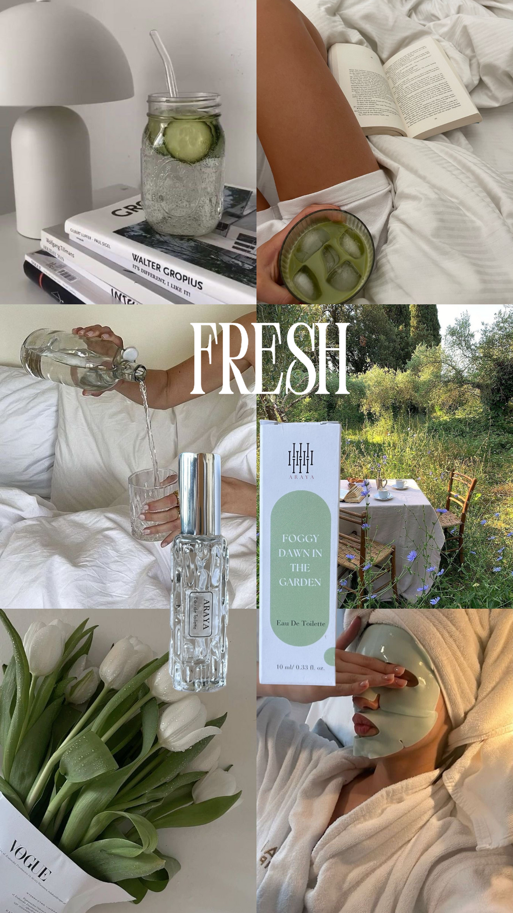 Foggy dawn in the garden - Eau De Toilette